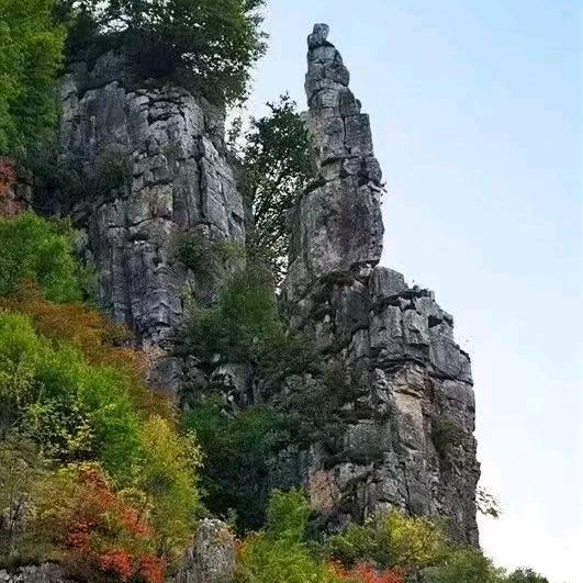 W王先生