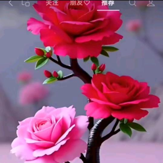 低调