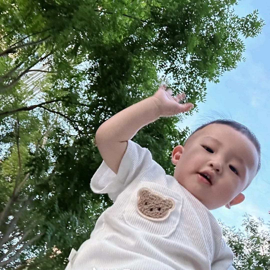 小刘🎮✈️
