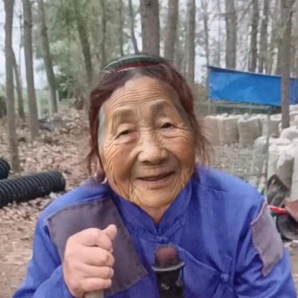 暖心姐