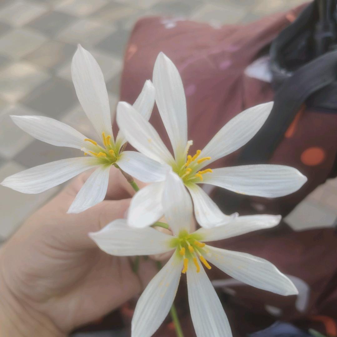 从今天开始幸运999