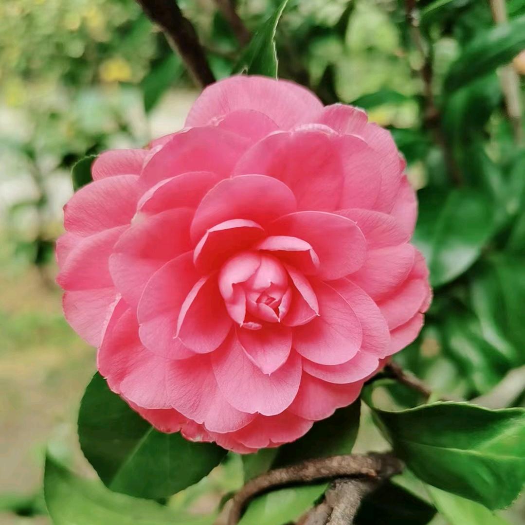 生活不易