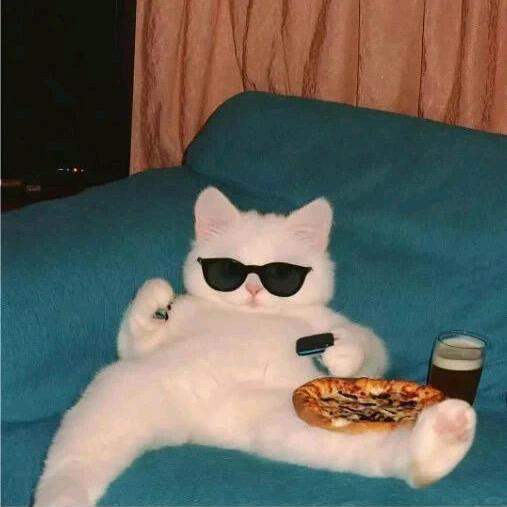 7️⃣2️⃣7️⃣