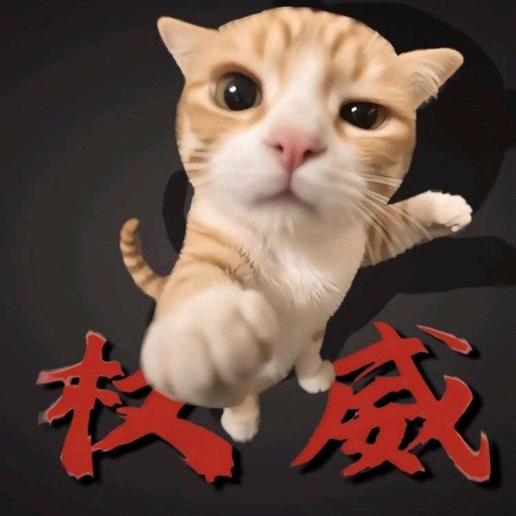 咪耳晕晕