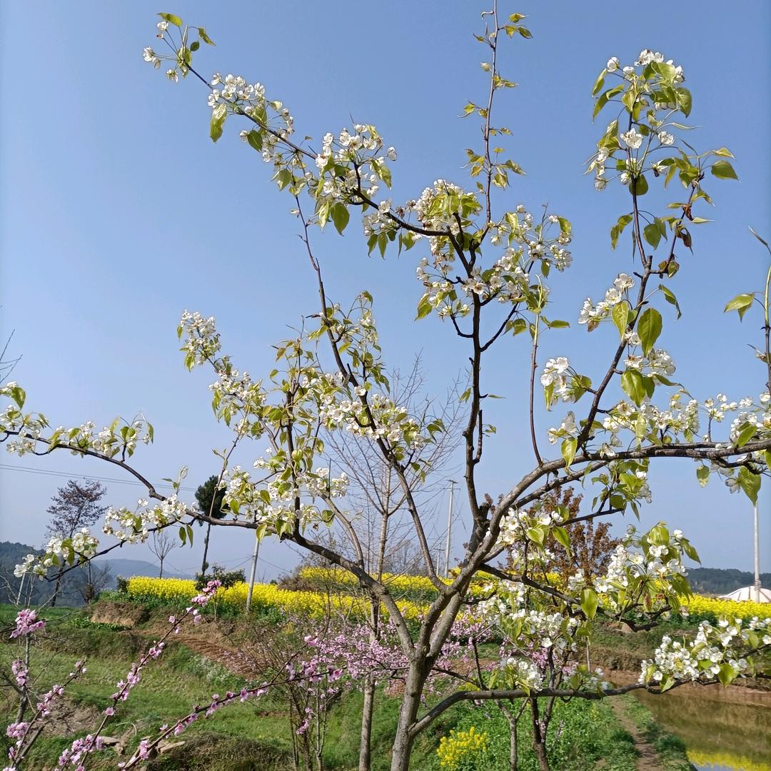 健康是福