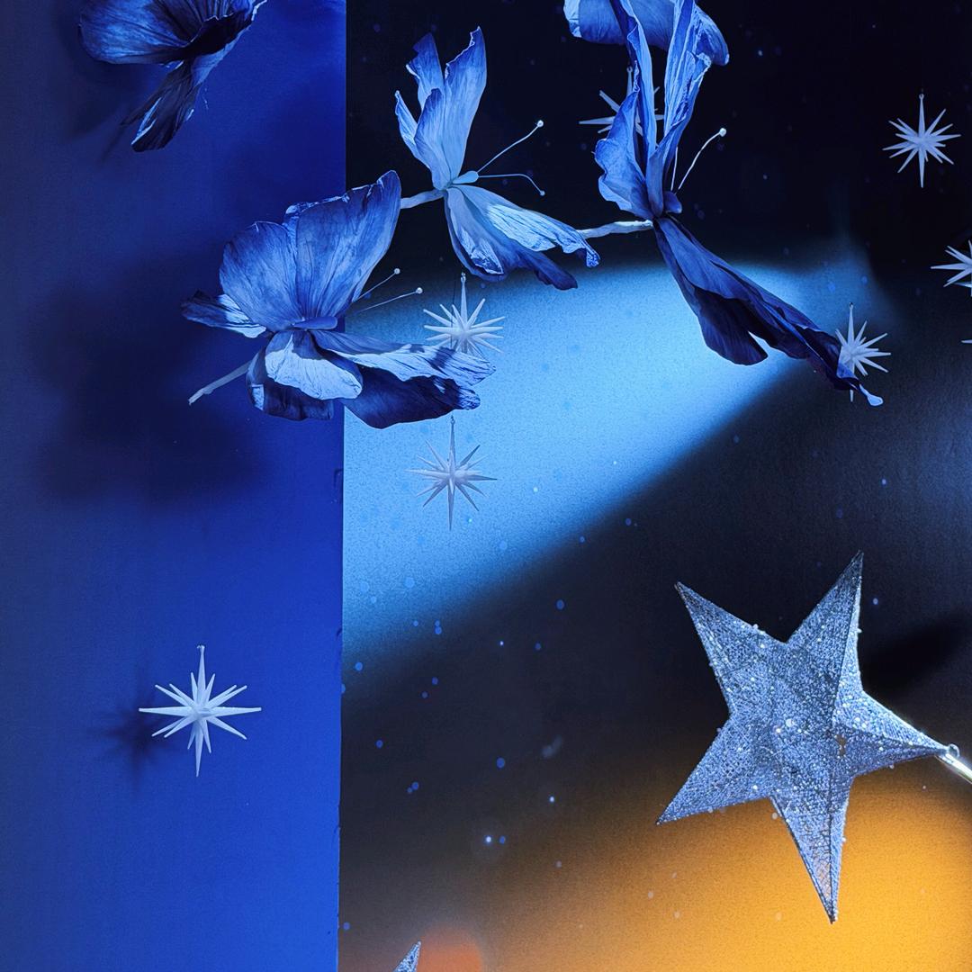 奇怪的孤独患者