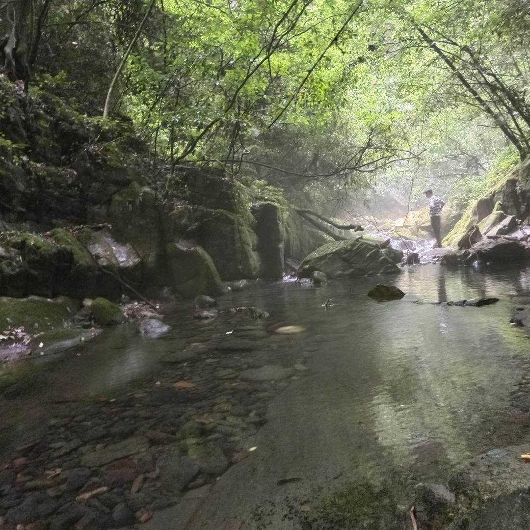 小王带你们看风景