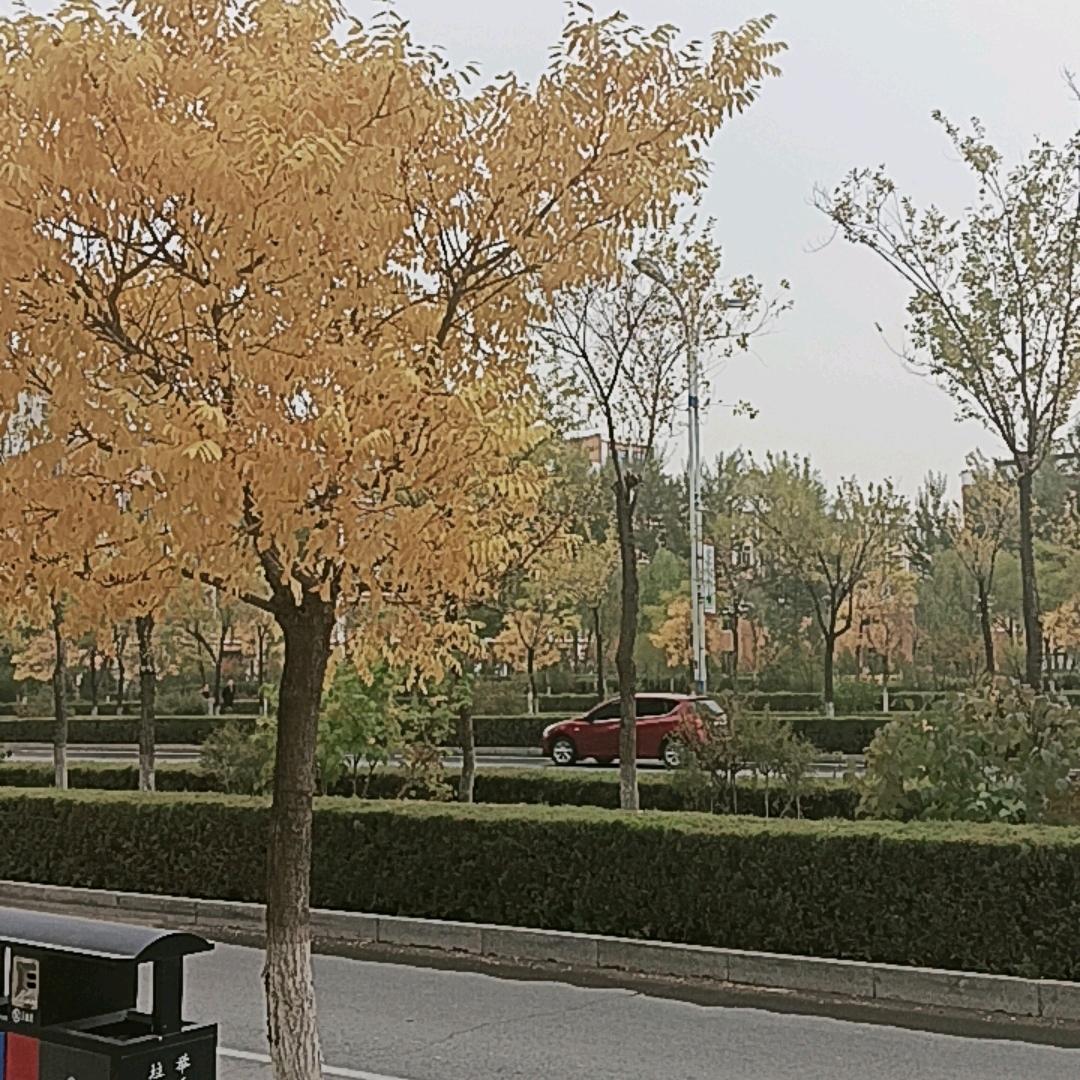 赐我三杯忘情酒