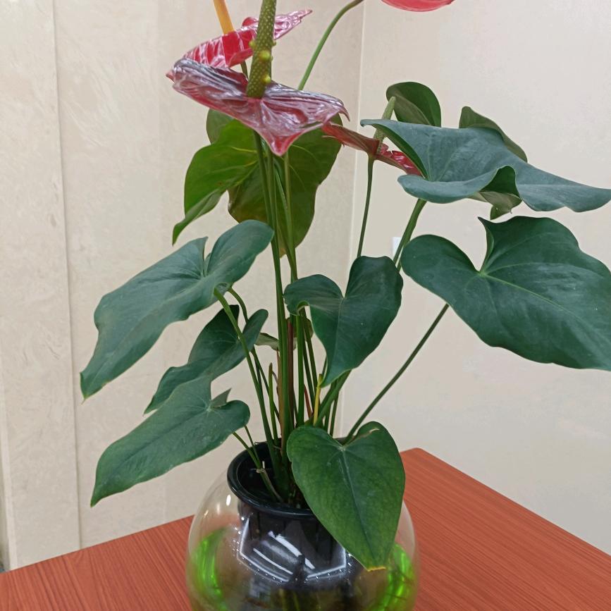 平安过日子