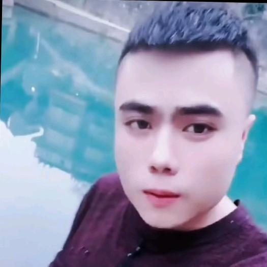 寻梦🐲★★★