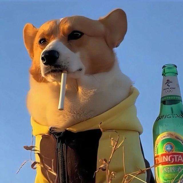 风吹草地见牛羊