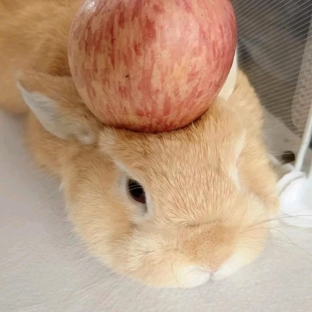 我叫玉面手雷王