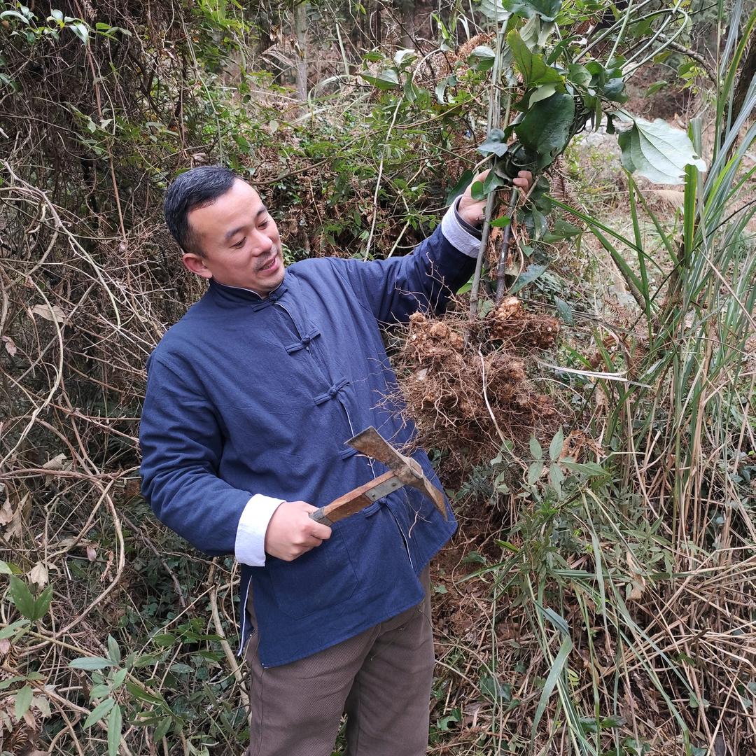ᥫ᭡້子木南山
