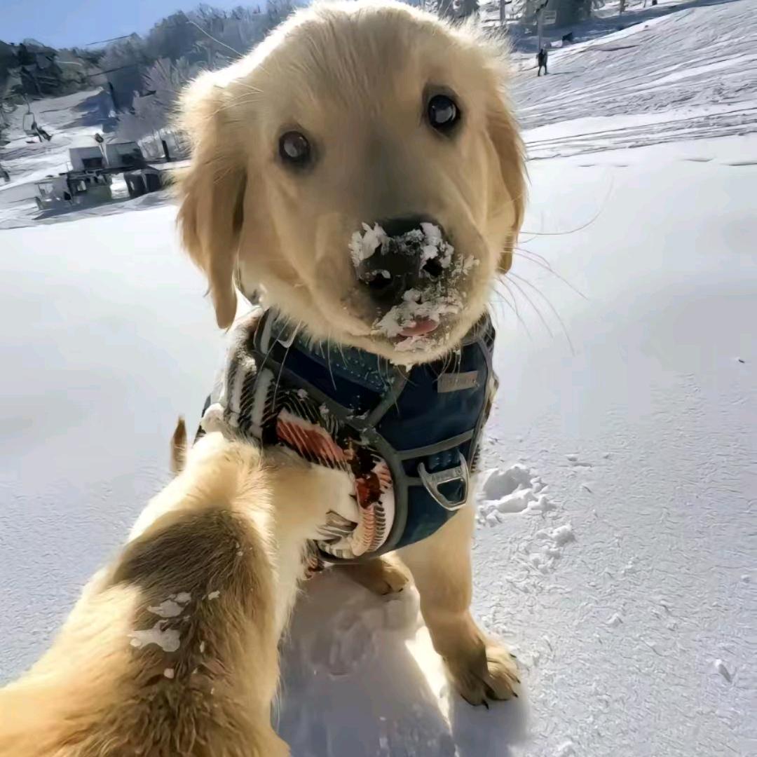 张晚吟-爱吃泡椒