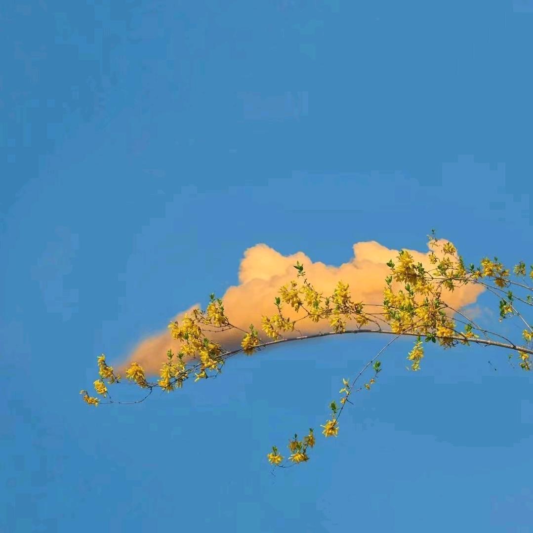 间距