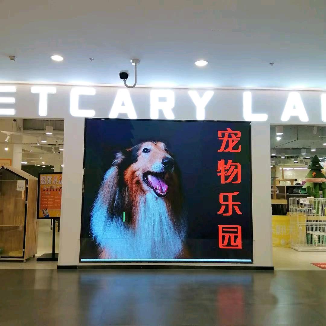 星宠荟(外高桥店)官方号