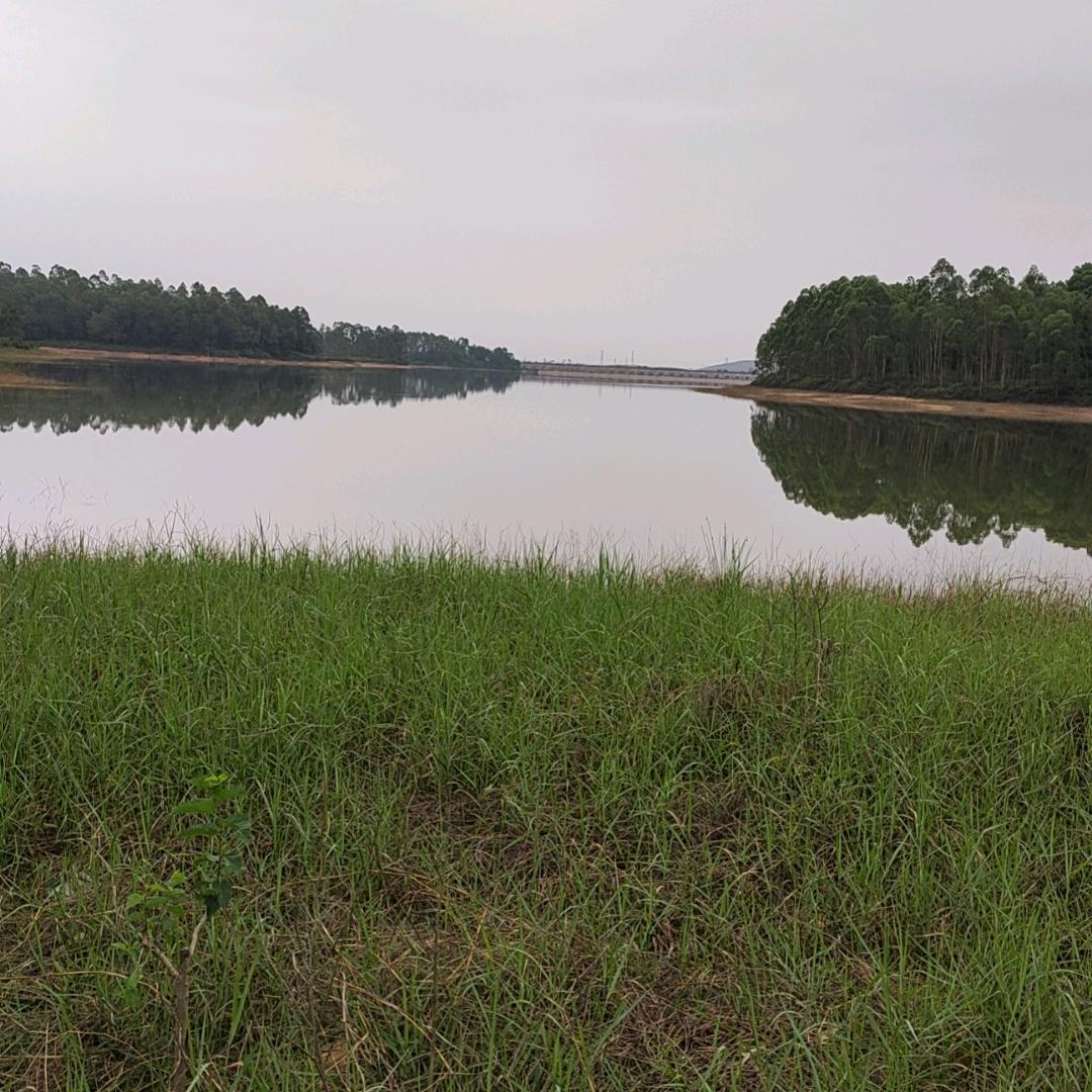 宁沐
