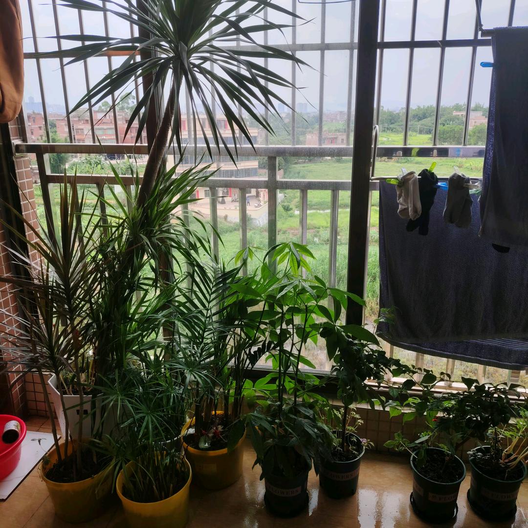 云淡风轻的日子