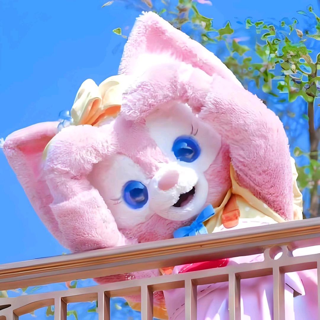 上迪树管家带玩