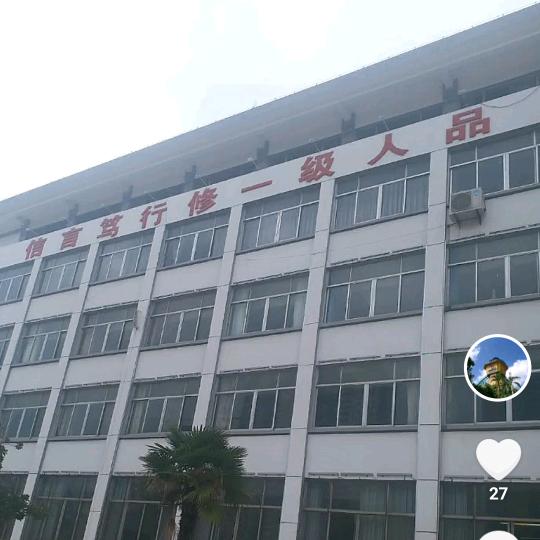 揣着明白装糊涂