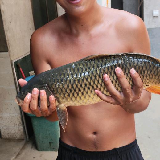 邵东第一个钓鱼人