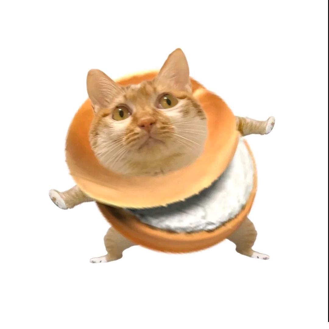 爱看文的饼干人