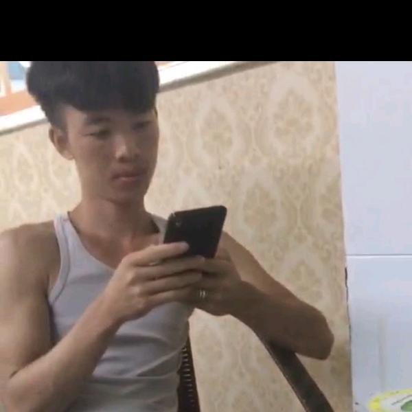 郑木藤