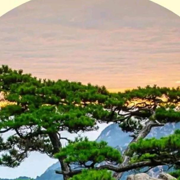 昵称已重置