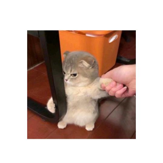 @东周