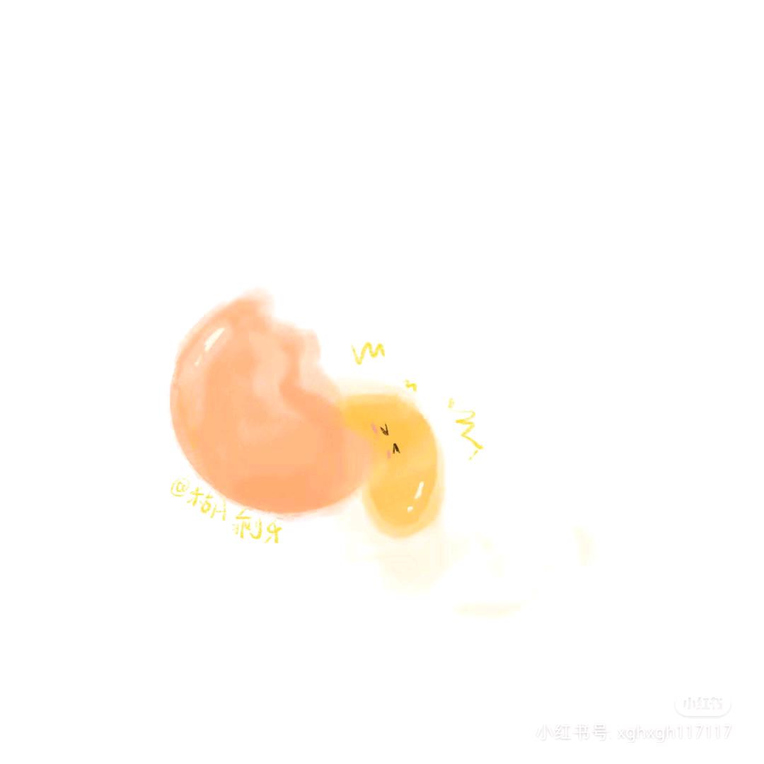 小熊崽崽