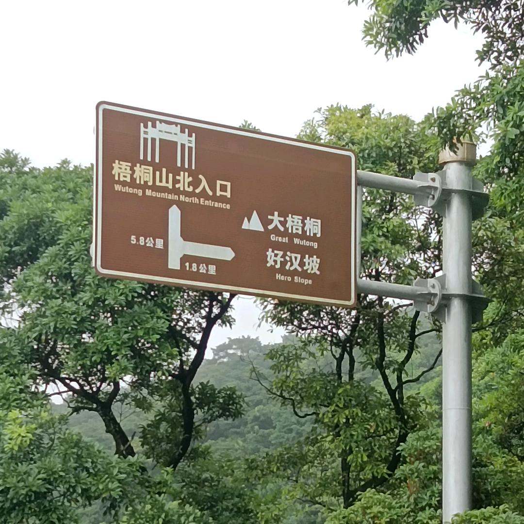 离开了水的鱼！不能明言的伤