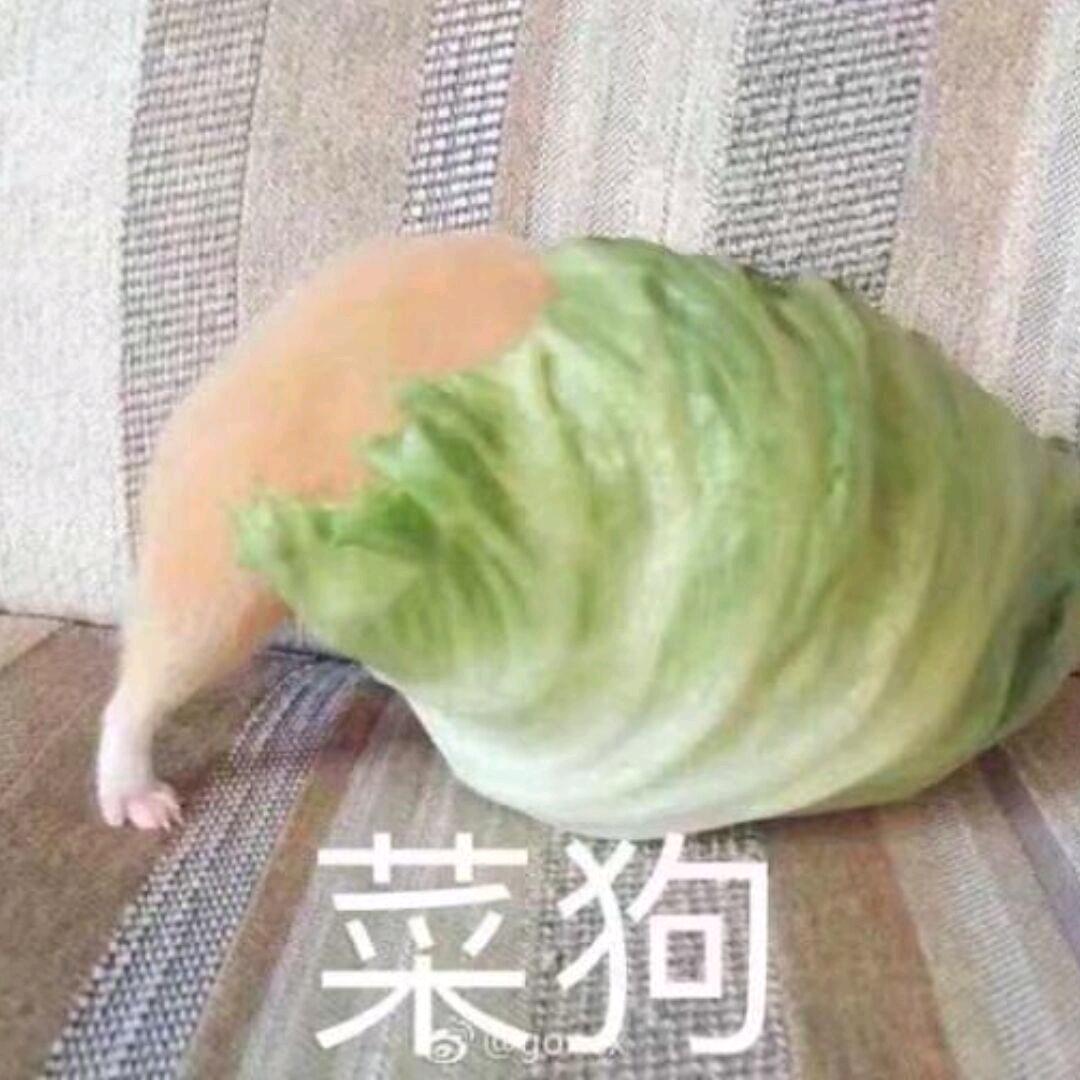 蒙娜丽莎の微の笑