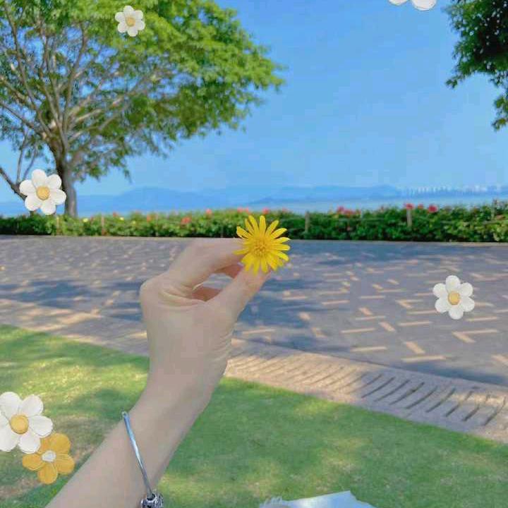 顺其自然