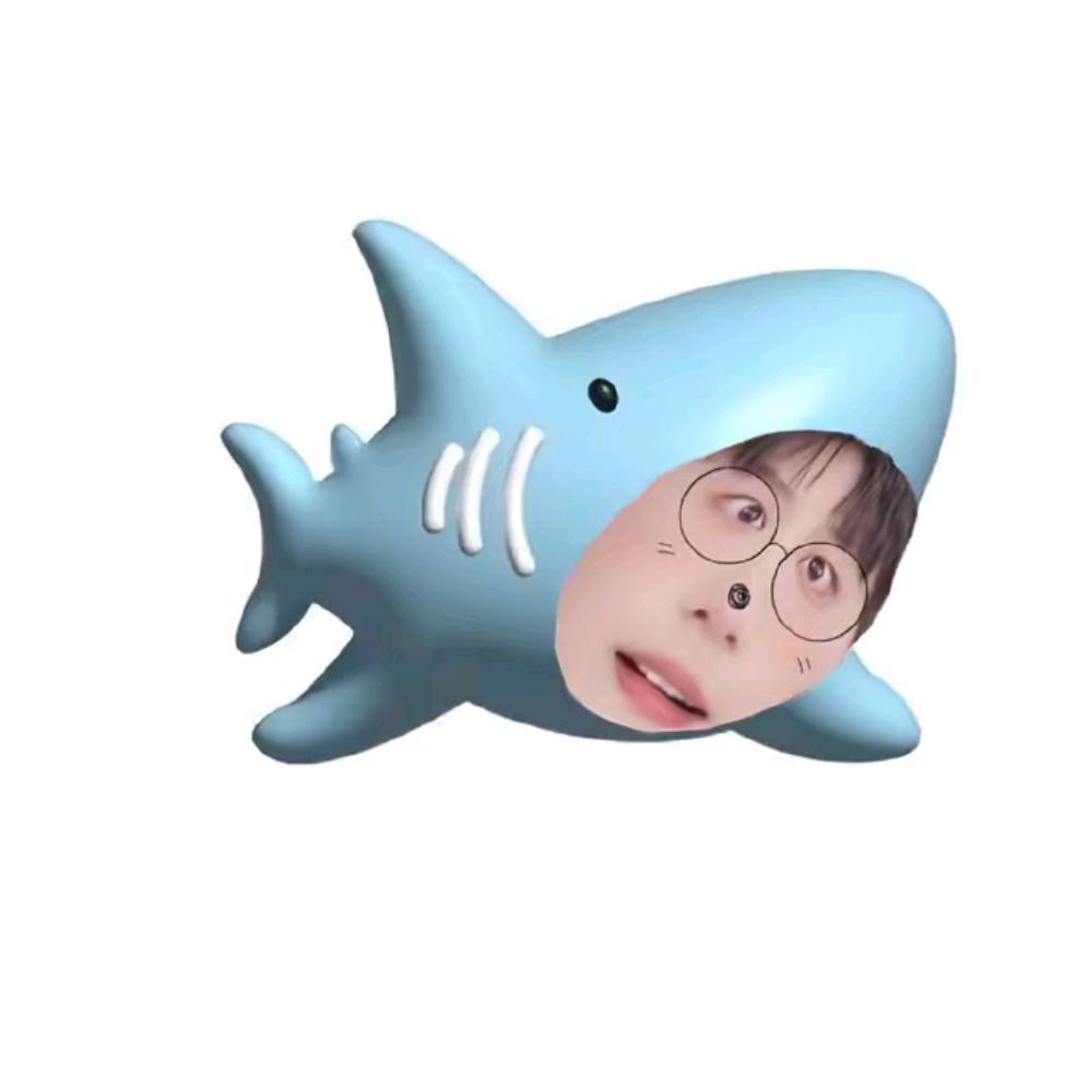 郑郑日上🦈