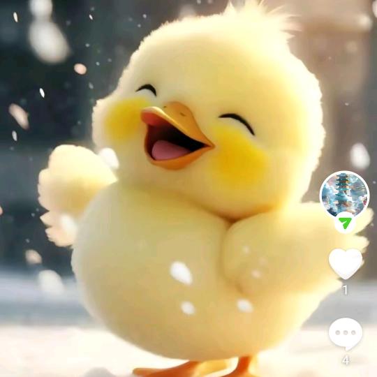 今生我在修佛缘