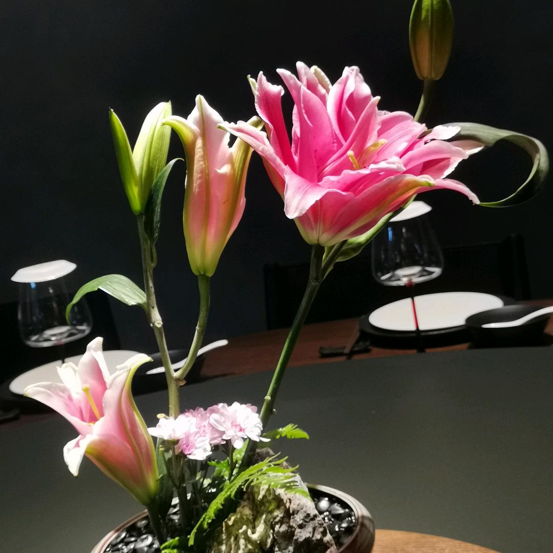 💕 ❧⁵²⁰杨杨得亿💕 ❧⁵²⁰