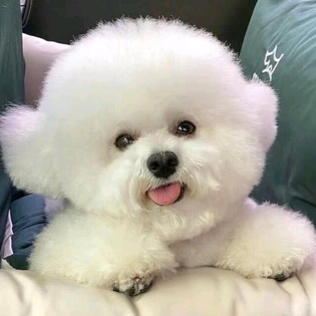 萱彤宝