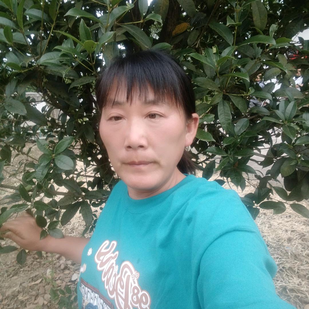 刘影
