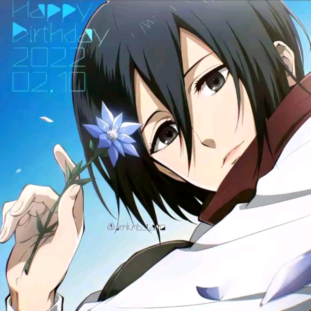 mikasa