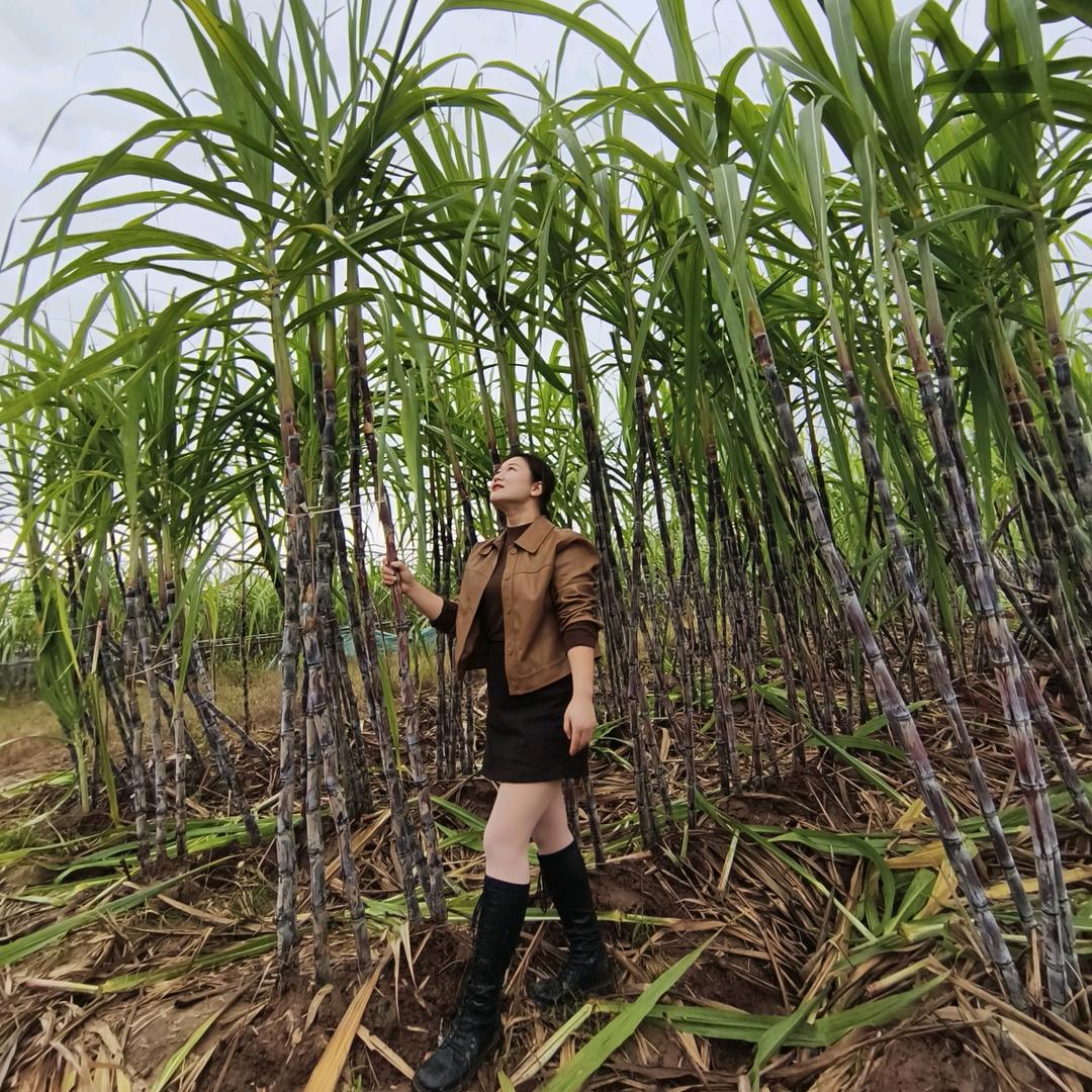 金润水芳
