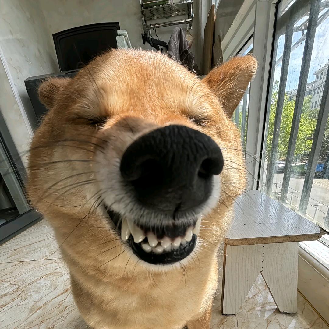 我的名字十四个字不信你数数看
