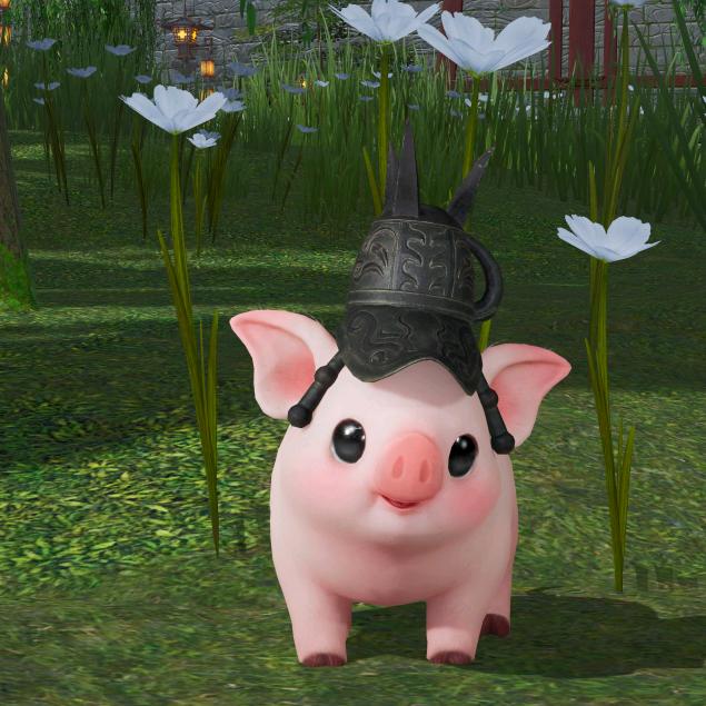 AAA土鸡蛋批发狂姐