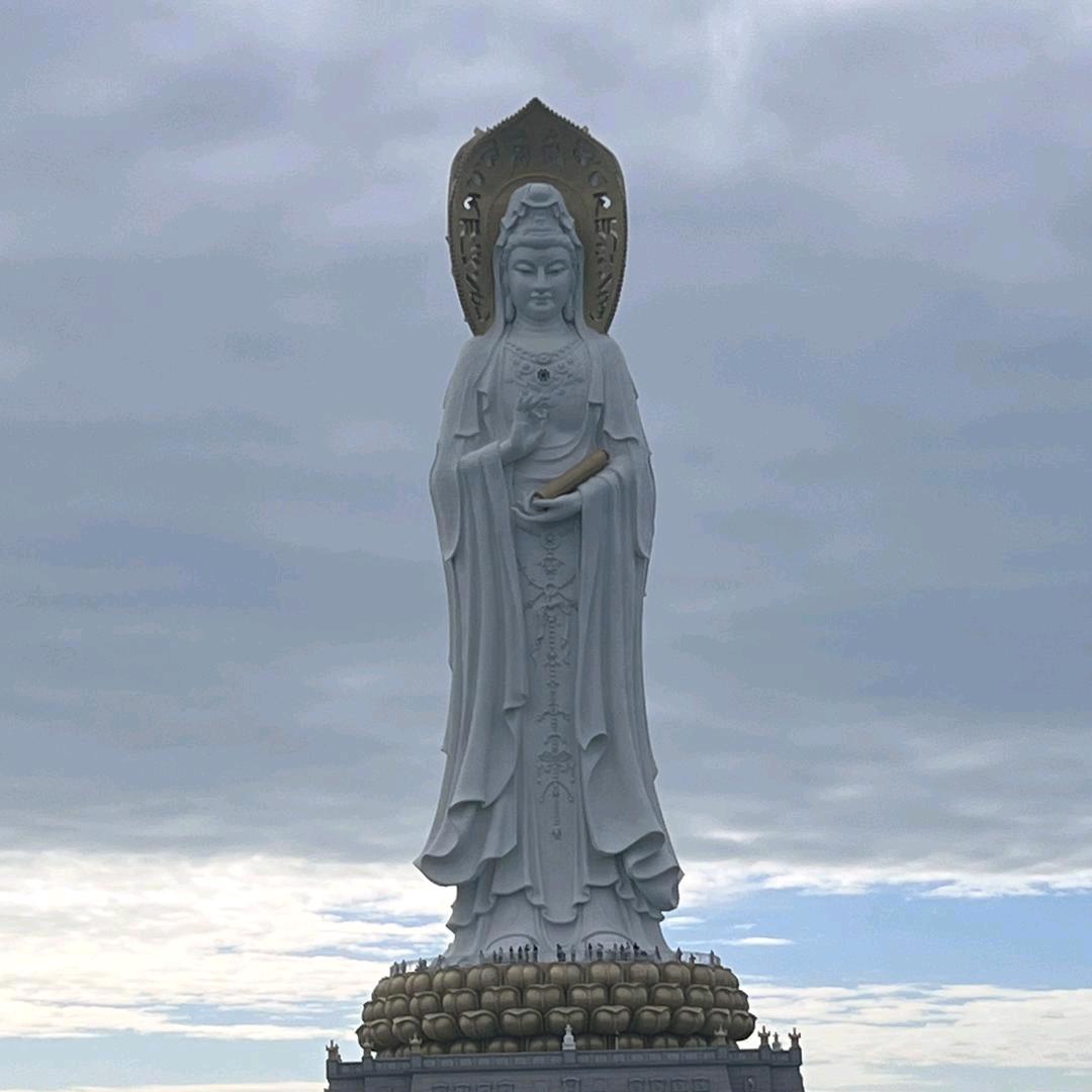 越来越顺翊帆
