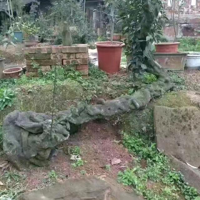 神秘人@