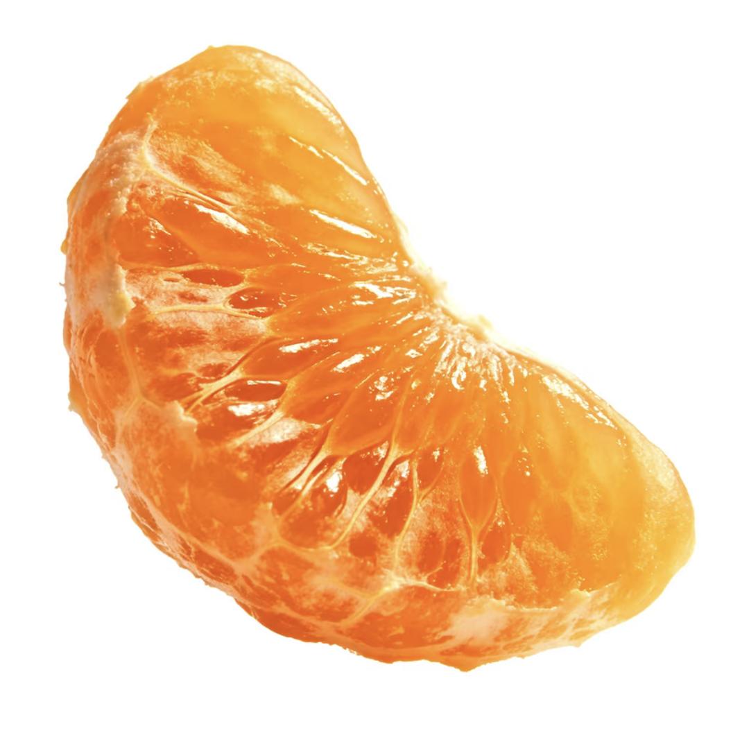 晚星永伴李⛺ⁿⁿ