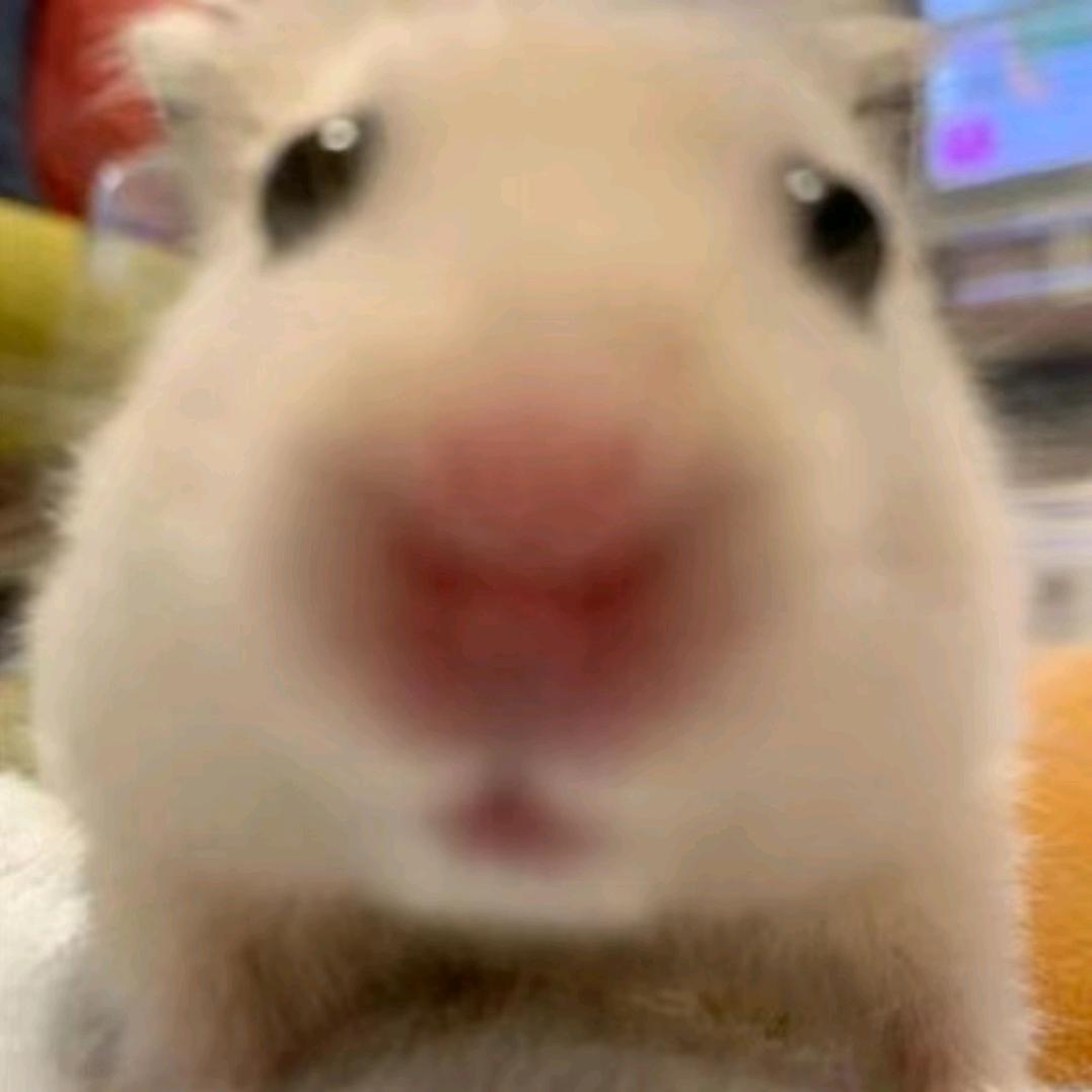 首席漂亮小熊猫_