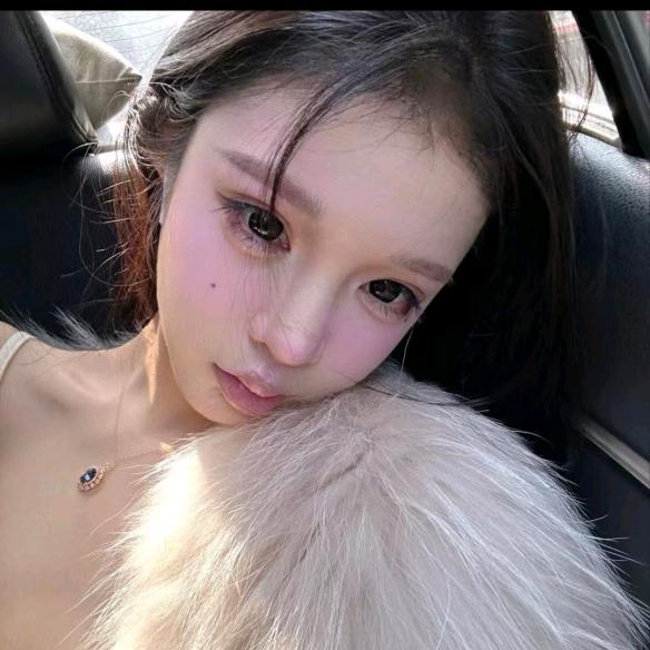 天鹅🦢