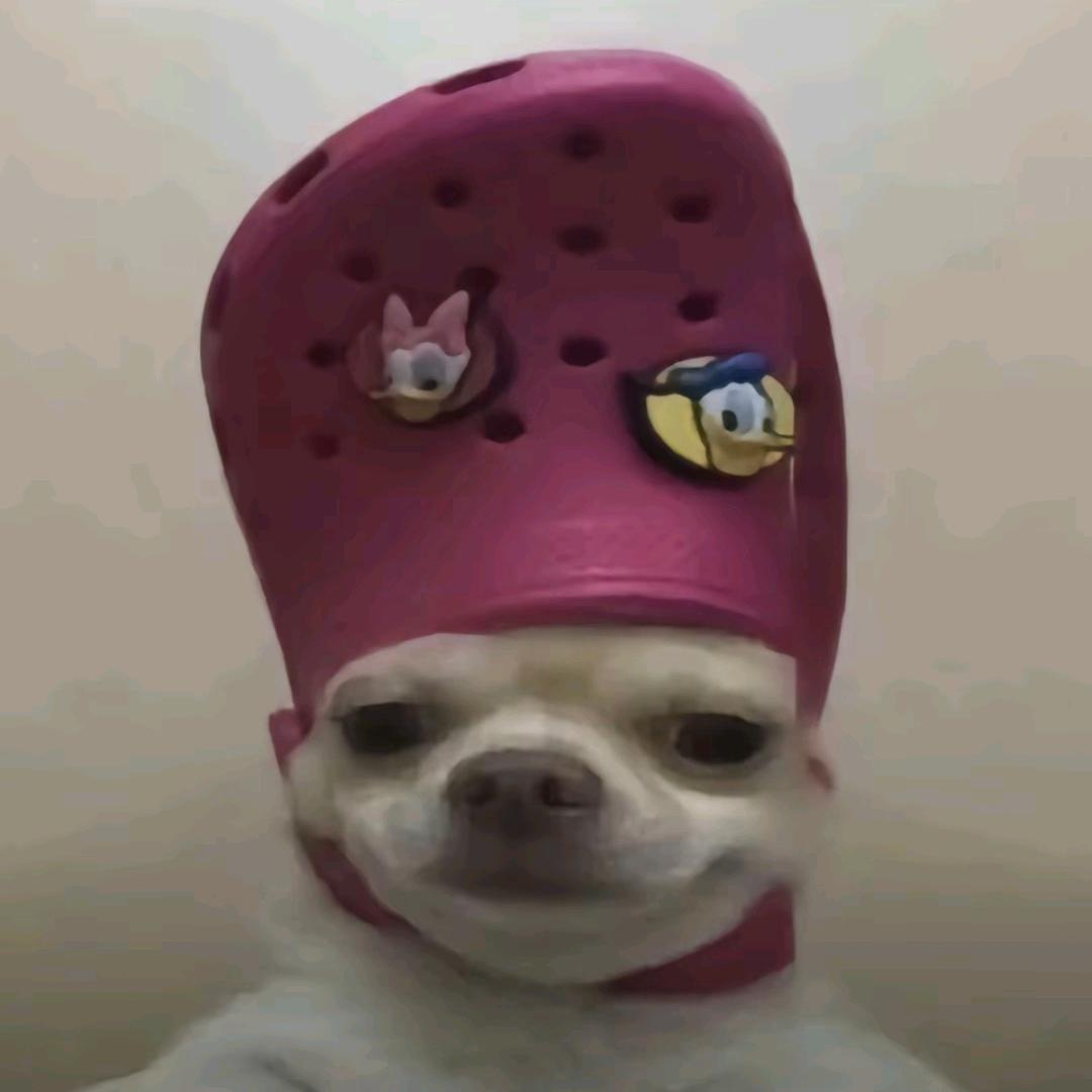 与人类不共戴天