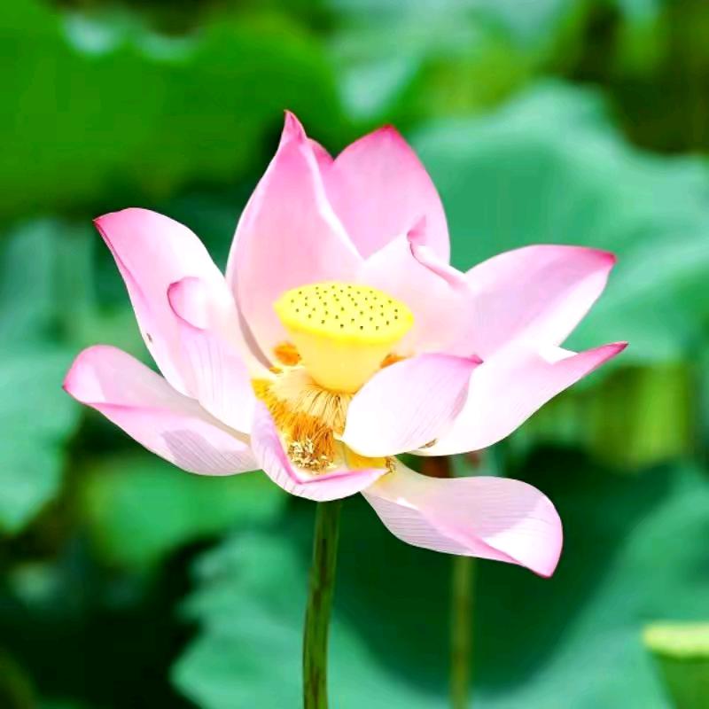 永不言弃