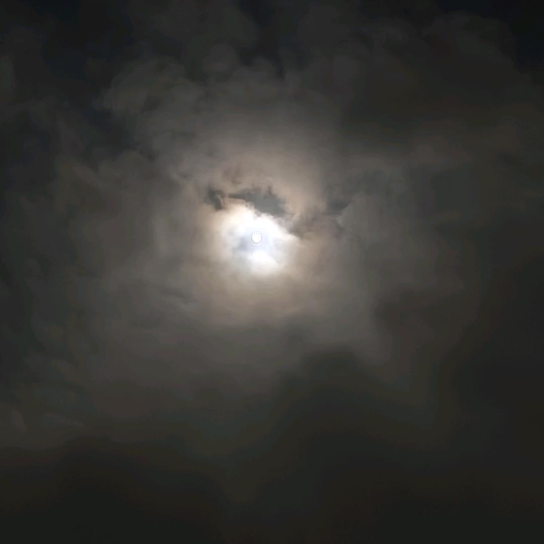 生活在黑暗之中